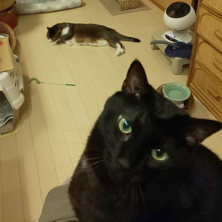 17db4091 2ffe 4569 a035 2289b546e7ad 1760186247648