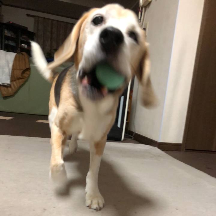 17db8ecb 57b7 4a0d a733 e68e618e67cb 1539927816891