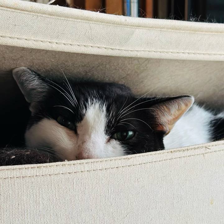 17db9c57 1f8a 4f0c bf2d 517cba2872fd 1665106490521