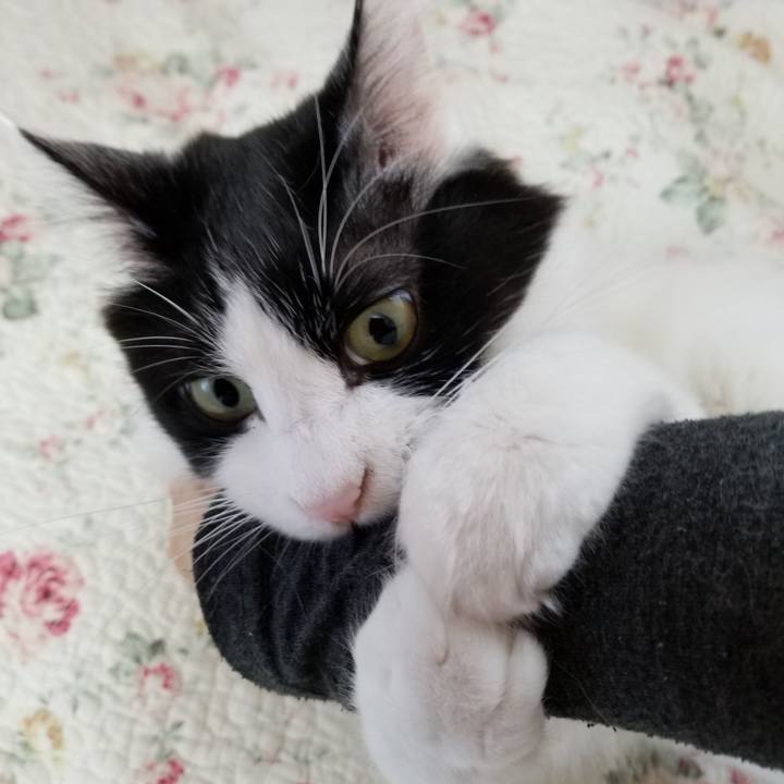 17dba0f5 25fe 4cc0 865a c5b09b0ebce5 1540332517066