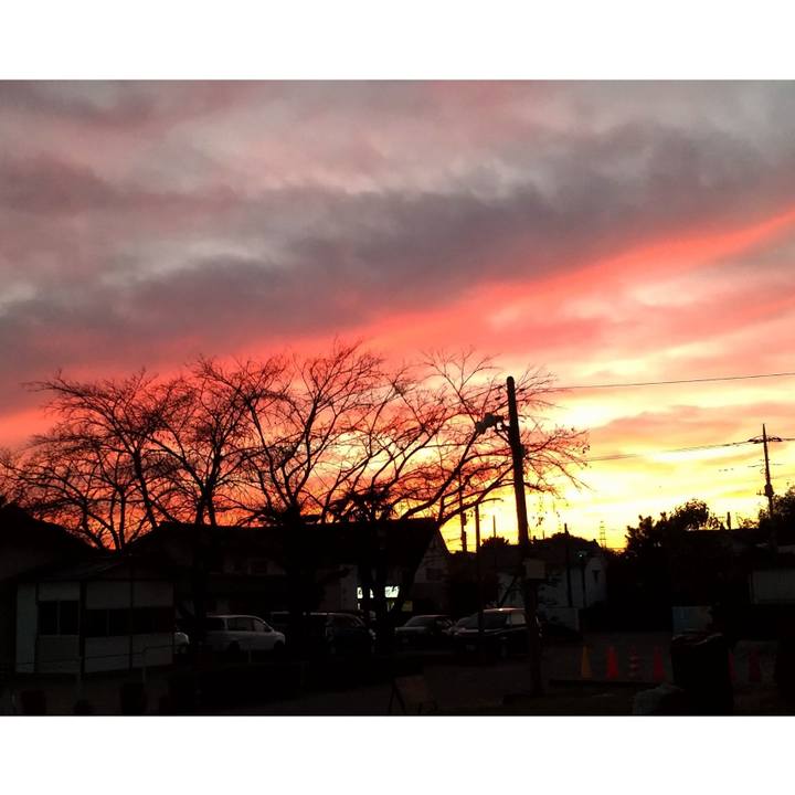 17dba9e2 1e0e 4d2a b003 5e1e0413ea38 1637385147342