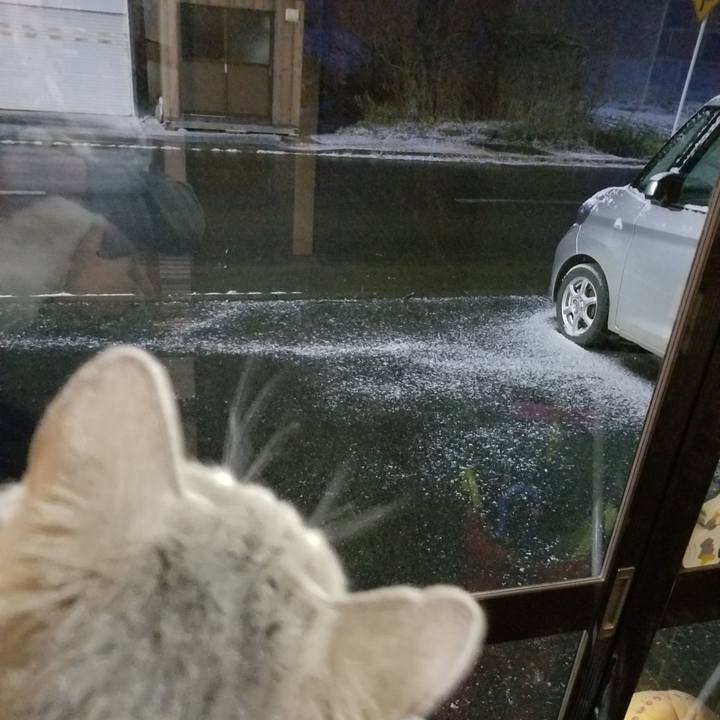 17dbf5f7 5795 47a1 8a77 871f8b597fc8 1574938405260