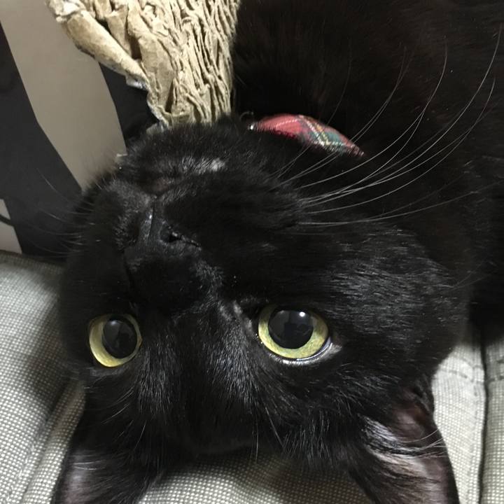 17dc35f9 3e93 43b4 97e2 e4301d13e93b 1508043512721