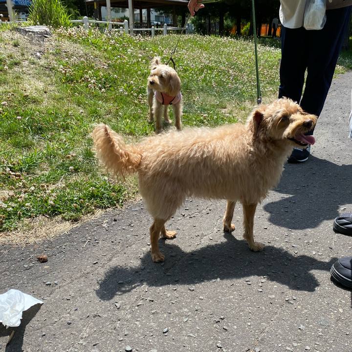 17dc385d 35d3 40d0 8697 2e022d2fb0db 1625441041762