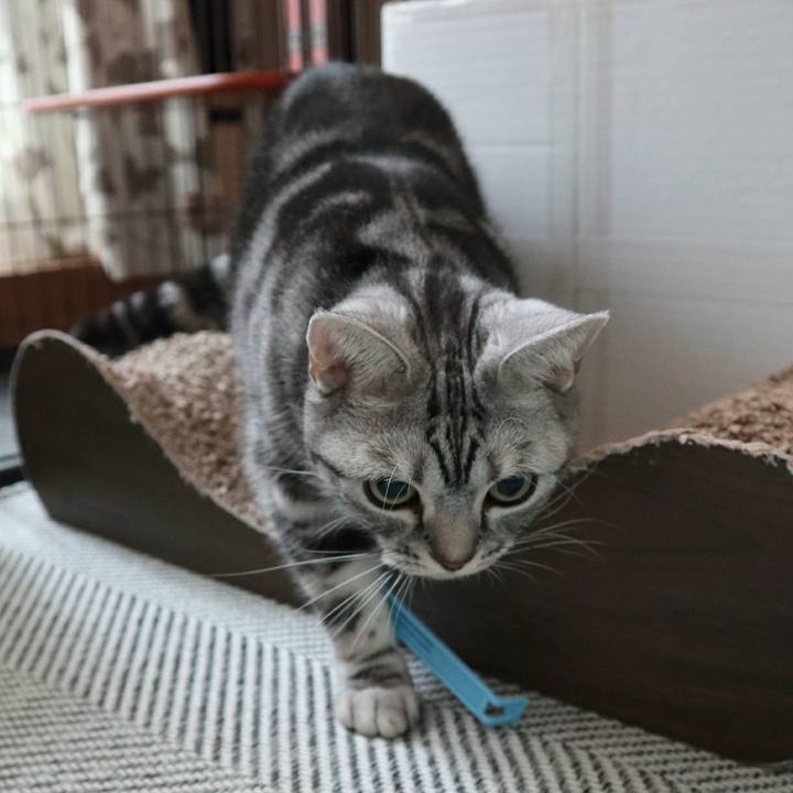 17dc8bca 9277 4f6b 8bef ff07891dfa08 1589534182666