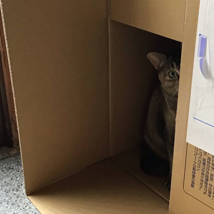 17dc8d1f e08a 452f a03c 9b245ce594bb 1614840829421