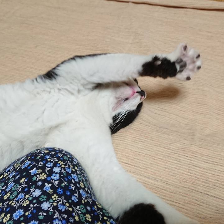 17dceb9e 7917 4709 b655 d918fd67810d 1629886057695