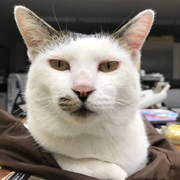 17dcfc1a 6ce9 4aec 9922 00bb8709d514 1535965571114