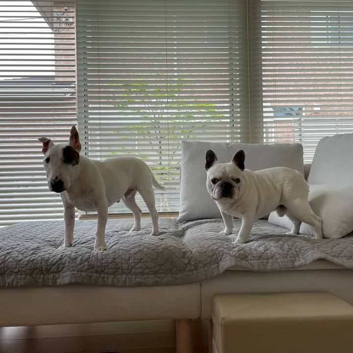 17dd8064 1b79 4305 ad34 cb909164edbf 1619458597501