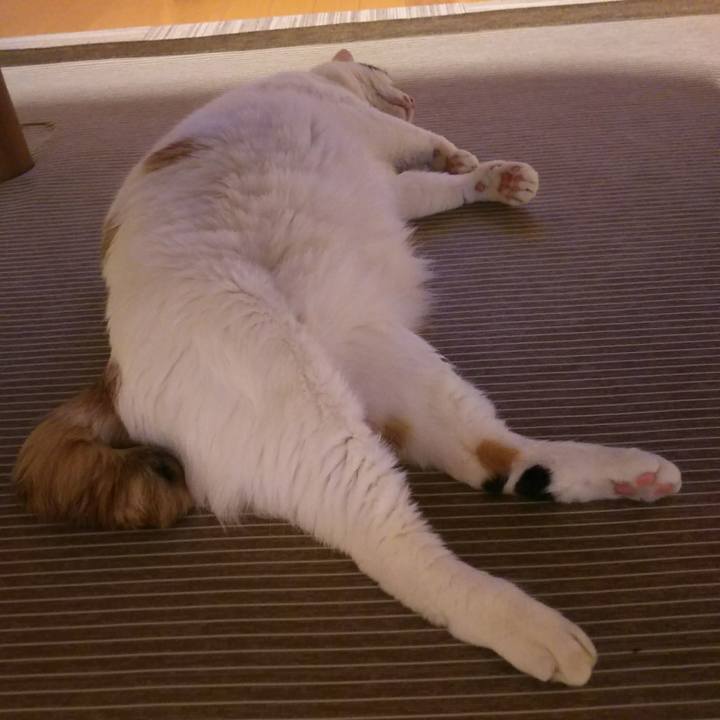 17ddaa77 dcb7 485f a6e9 8510902ecfb1 1530530560850