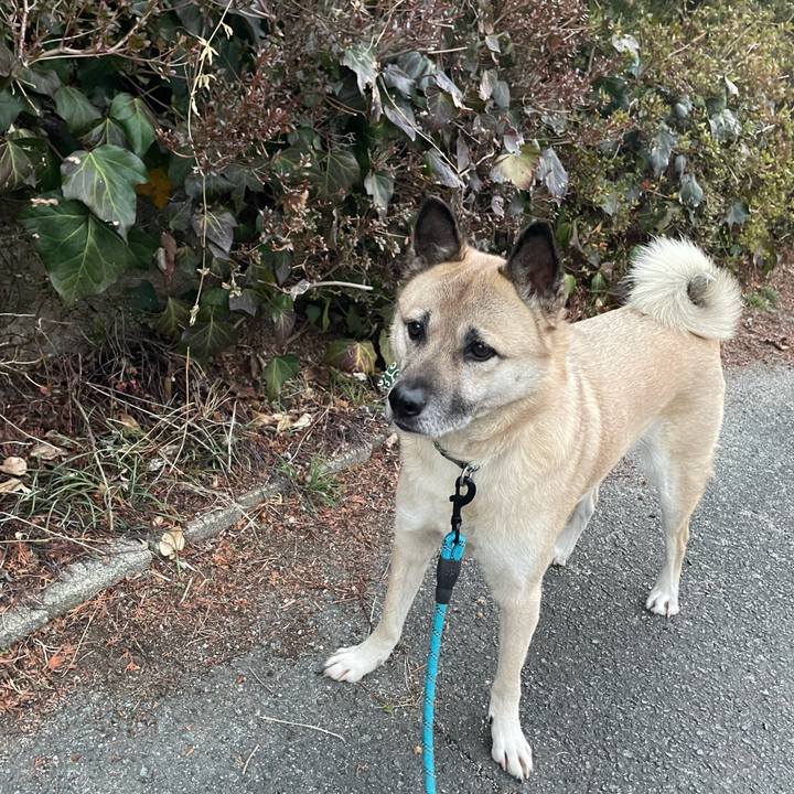 17ddb695 743a 4b69 b294 95556218c027 1675427272883