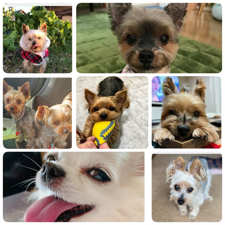 17ddc1ae 66e0 4f0c be1d 0c1efa4c2333 1679004428011