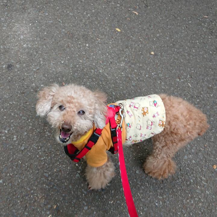 17dde265 086f 4b5d a67e 3ad377c2a3c6 1623548393487