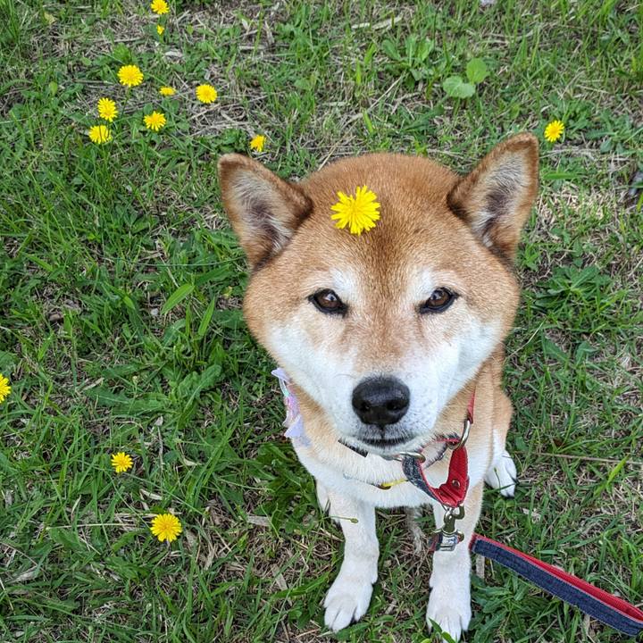 17dde33c 83db 4519 b23d ae07929934aa 1718426377983