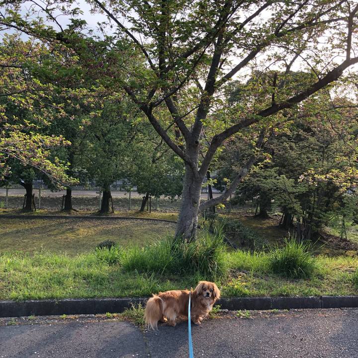 17dde34a 2b02 49a4 be4f 5c8c4b31909f 1555798436321