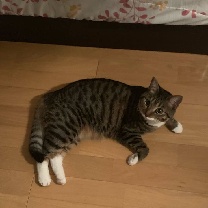 17ddfa83 f4d9 4522 9e85 51678dfbd487 1565254684854