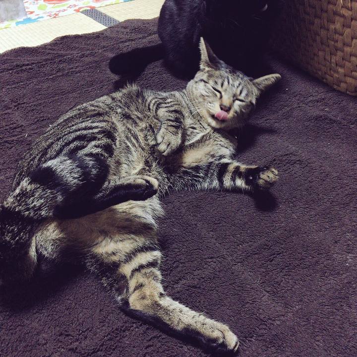 17de0578 c136 4758 b808 4e543261e084 1513933849890