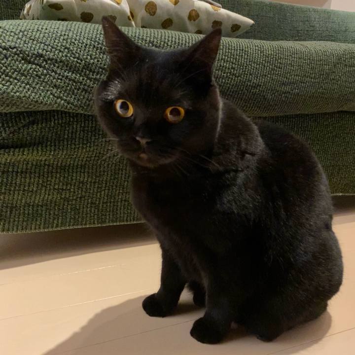 17de1252 e7c7 4778 8182 9364f9890d6e 1609941905526