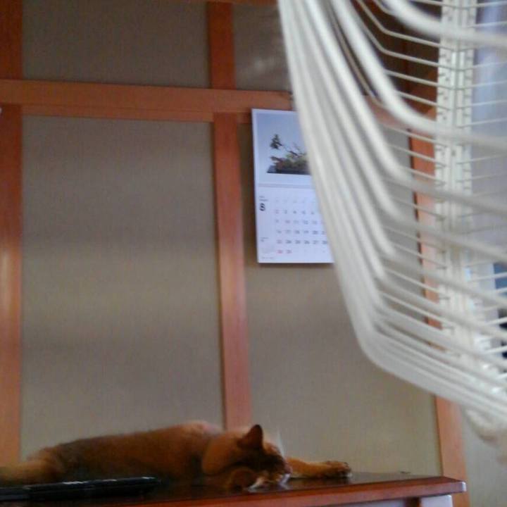 17de62d8 45bf 41bb 89f3 2a25cb378cbc 1598086722660