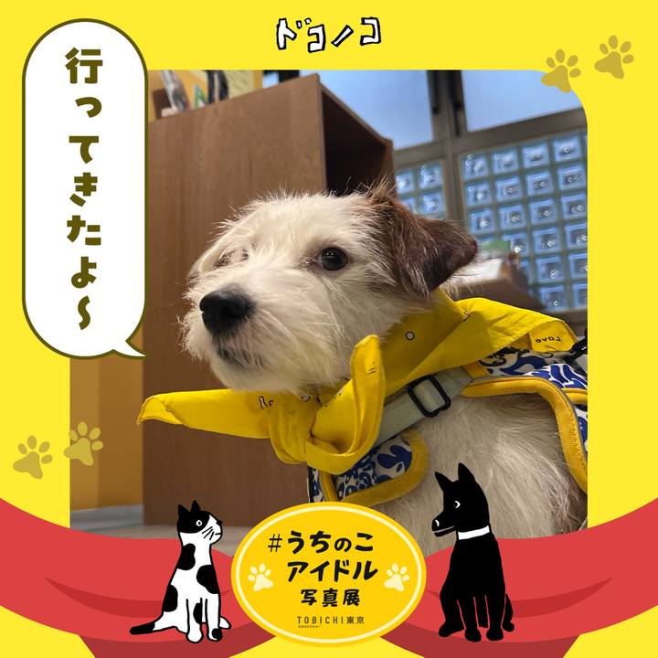 17de8463 37bb 4dd2 ba76 dd746f1e8a44 1762167008441