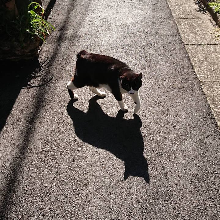 17dea8f4 3f73 4c1d 933f 4368a1cc71fa 1619049122094