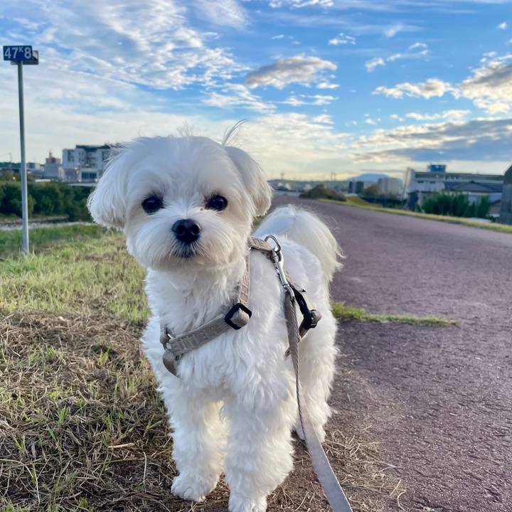 17dec40d b5a0 4d57 a520 e67e2a4d1e2c 1760998721672