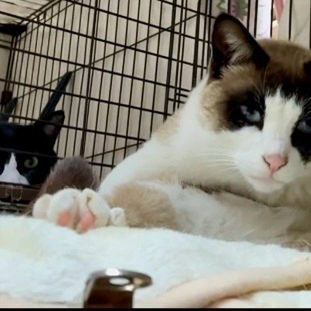 17df1bec 005b 455e 9cbc 7f72bc7bed26 1744286379210