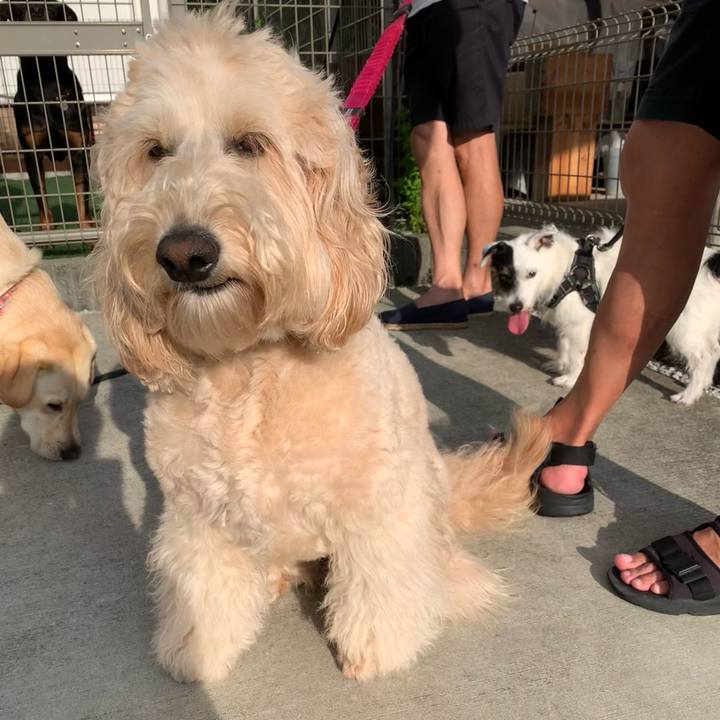 17df3687 b3fb 46c0 b87a 9424a70422d7 1719995447660