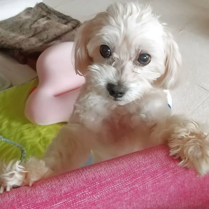 17df5183 b104 47c8 97dd 425015cdf231 1598054115853