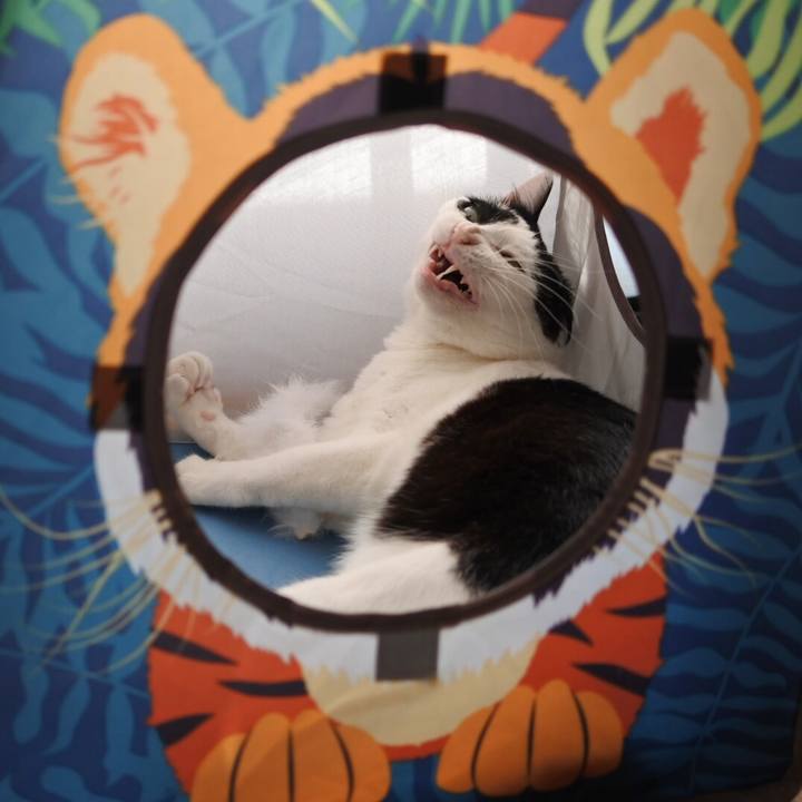 17df5684 4180 4567 8c4a 77918087ba0c 1531478269703