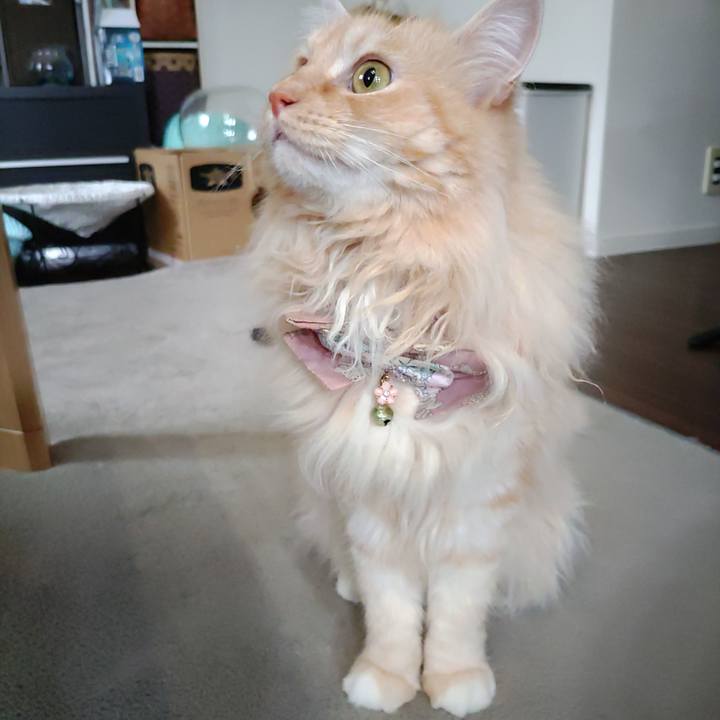 17df79aa 5473 4399 896d 1872fccc8c77 1719965761771