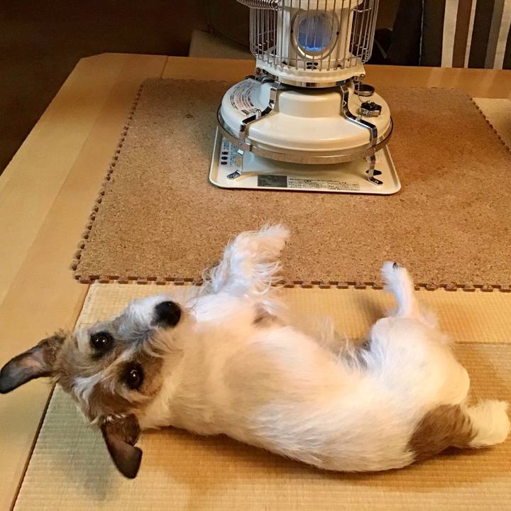 17df8881 5a79 48a7 b870 9bb842e01dba 1617622581985