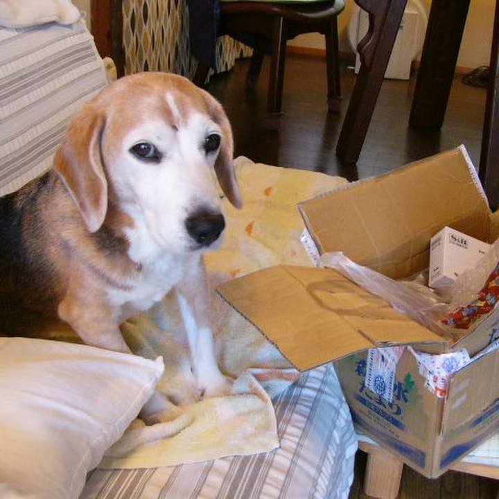 17dfa171 d6b7 4db2 ba55 907bc7591b87 1665448629431