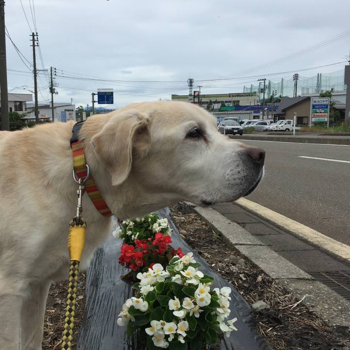 17dfe707 3781 40e0 9017 7bb067b73759 1529471055684