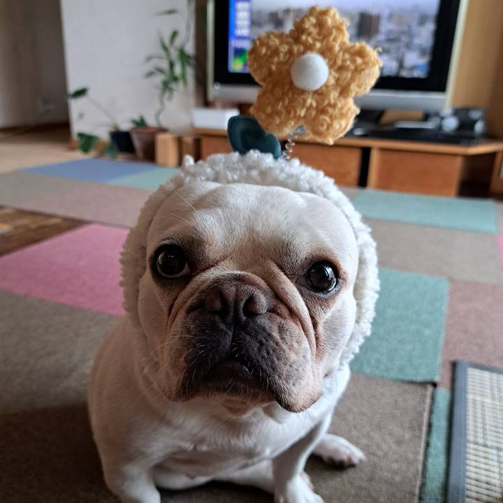 17dfea70 016c 4a46 ab4b 5610d3c33a1b 1692055495493