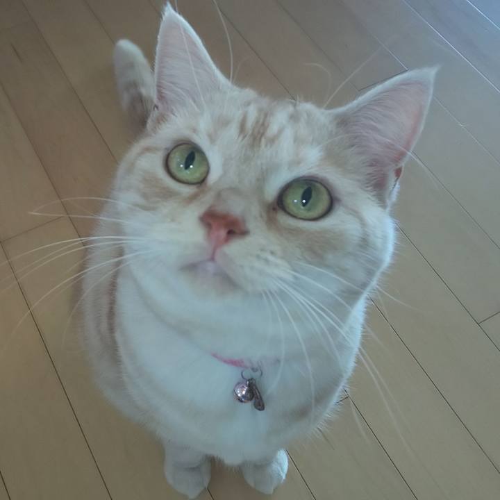 17dff347 f870 49c1 ac23 3bdfc2aec9a6 1541053585795