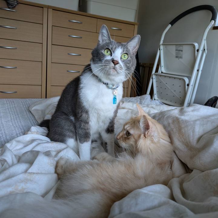 17e04de6 297e 4ae3 940e 04bf1728f3c5 1729569131481