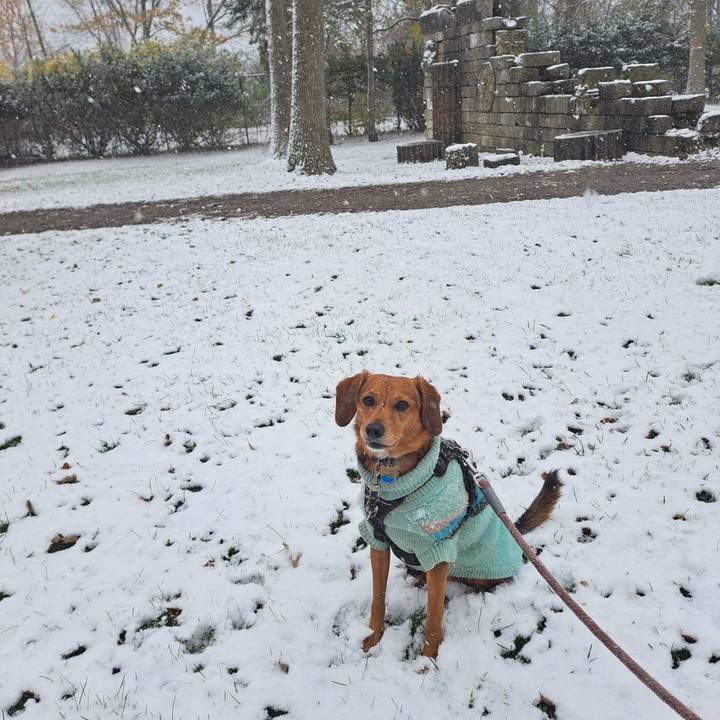 17e05981 8150 4805 940b 7ee0cf8f0004 1762710177000