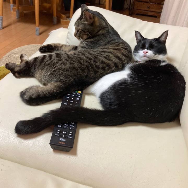 17e0632e b5fd 42cd b433 c9887562ad0e 1659328137331