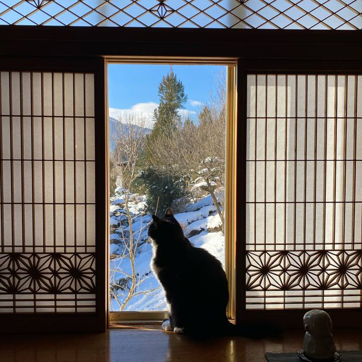 17e09320 20ba 4f56 9ff7 9cb057404f5b 1642372155801