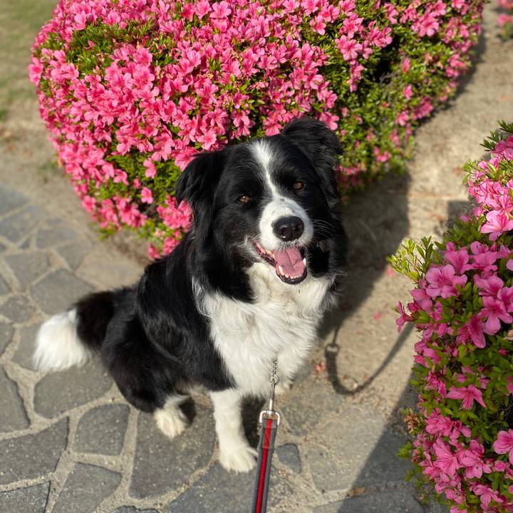 17e0aecd 6ed1 40f8 8cc0 e646db527230 1591312287330