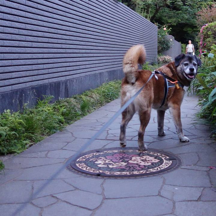 17e0cb13 ea62 436d 8860 c9bf0d3cfe4f 1638407533872