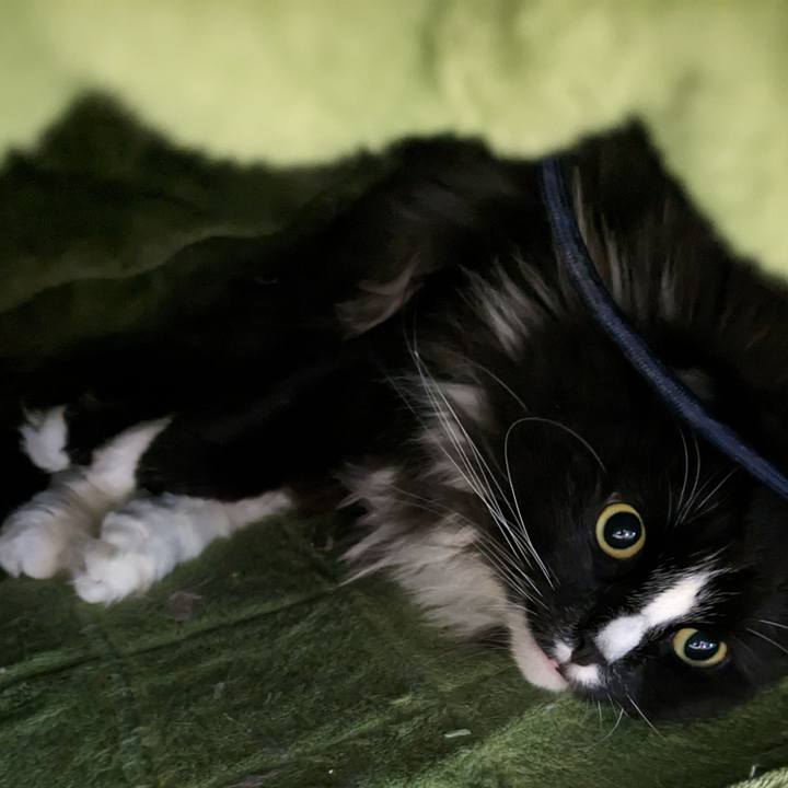 17e0d38f 7738 4731 9fc4 7cd40b5640db 1685353836100