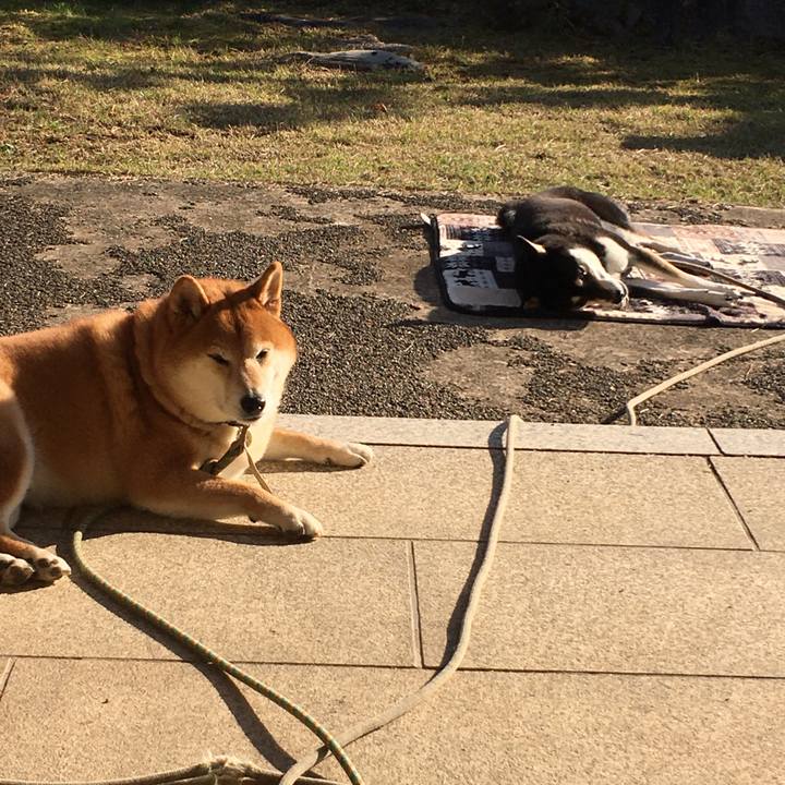 17e0f152 ca9e 45d0 b410 bb365122fc6c 1605803927818