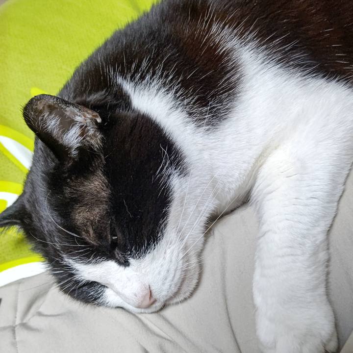 17e0f6a7 8c50 4d59 9a26 33ad11c397c0 1643636699399