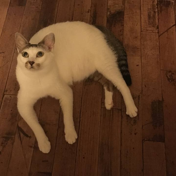 17e0f7ef ac87 45b2 9074 3b80a88da328 1533399304472