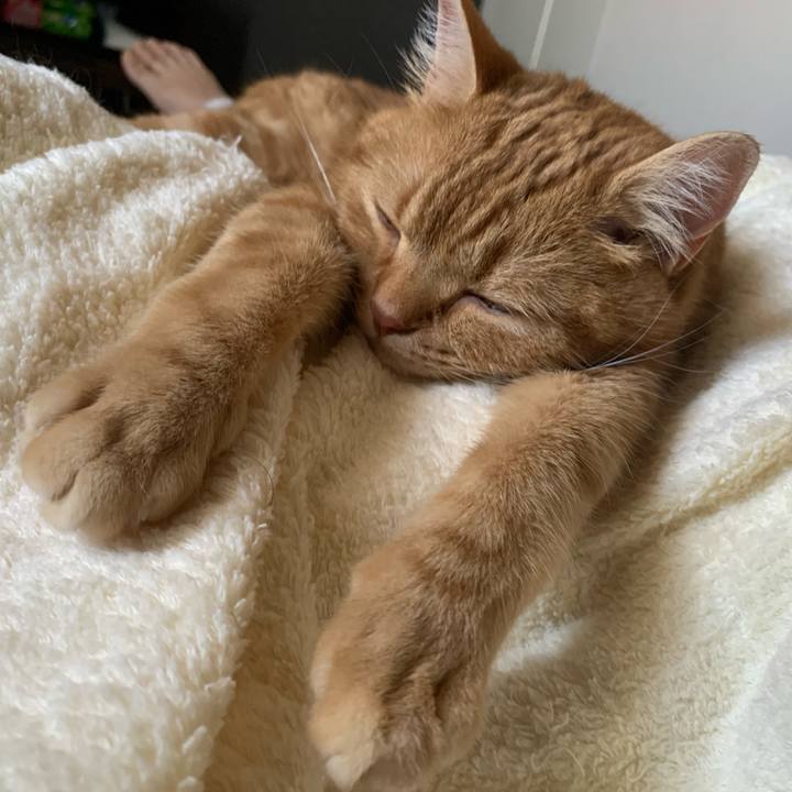 17e102f2 3fb1 43cb 9926 12f4b8d7e1f2 1656630582978