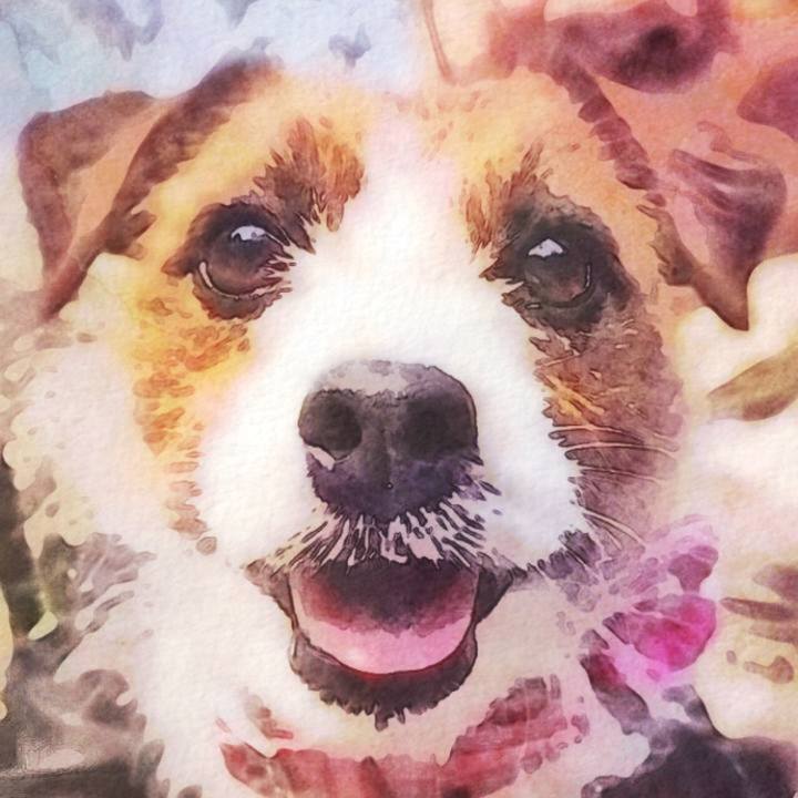 17e117ba 22f9 4cf8 b1e1 9a00844af8ca 1521407814195