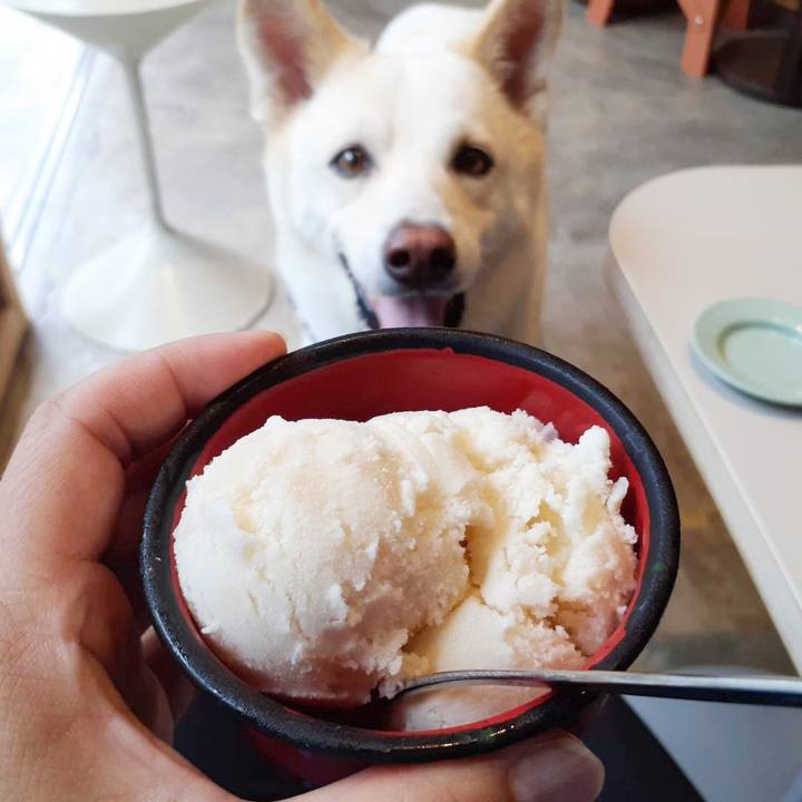 17e150d3 a05b 4b32 ae5c 5cf1731231ad 1694937094357