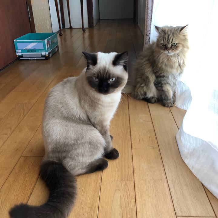 17e15750 8088 489b 87ac e862ebc224f3 1597886157124